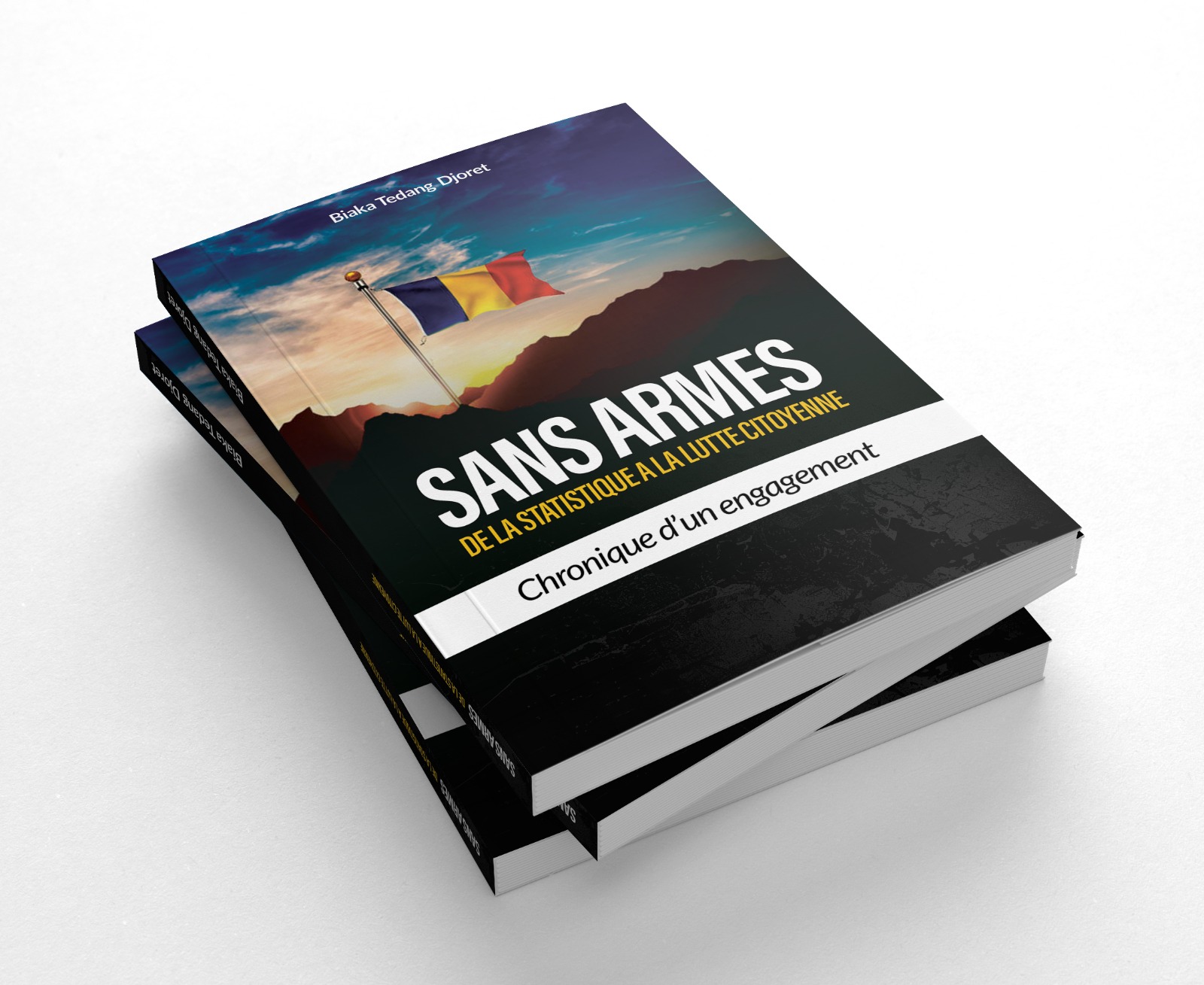 Page du livre SANS ARMES - 1